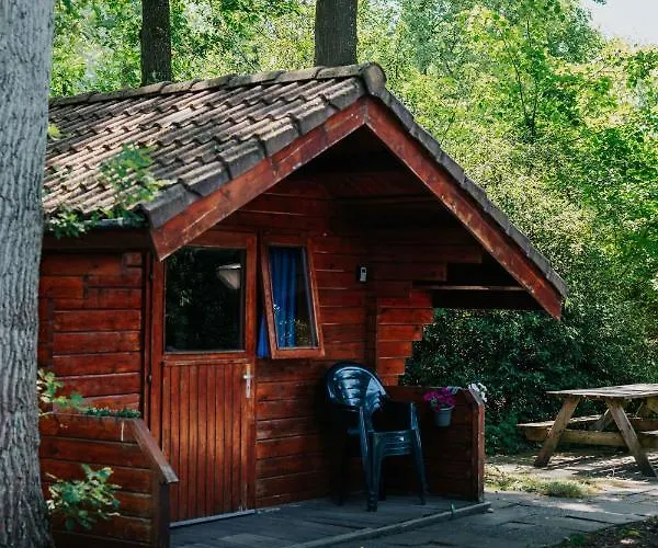 Trekkershut I Ideale Uitvalsbasis Op De Veluwe *